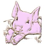 13.gif