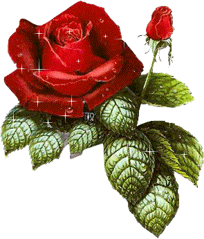 flover_0015.gif