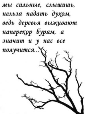 32272d21f24ad554e0dd43490e0acded.jpg