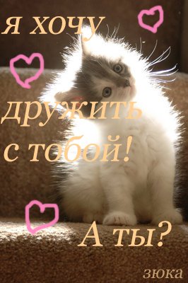 4798eae4-b0f2-8b84-73ee-e4f9c3a1b052.jpg