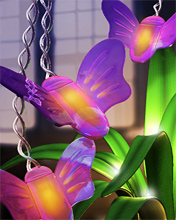 Butterfly.jpg