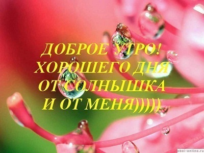 993a2865ed38d42d6f25760189140ed7.jpg