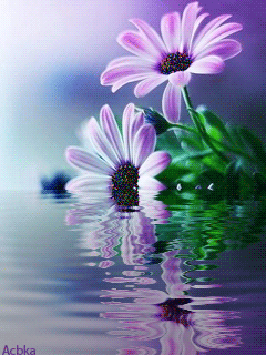 1320940466_913328.gif