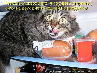 котэ.jpg