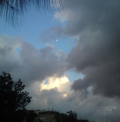 DSC05827.jpg