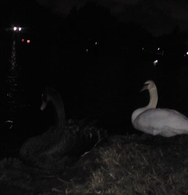DSC05864.jpg