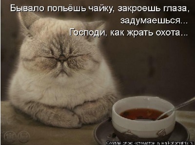 6632782f2a04abf8bd09383131c6c120.jpg