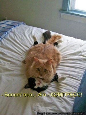 getImage (3).jpg
