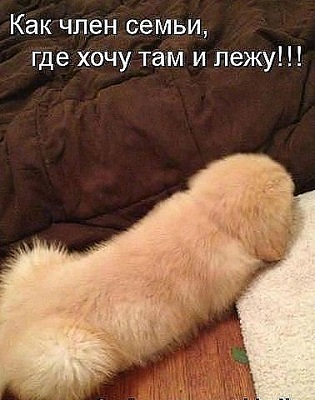 getImage (1).jpg