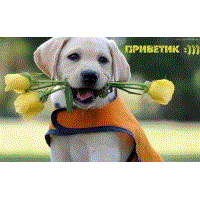 images_2308.gif
