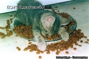eda.jpg