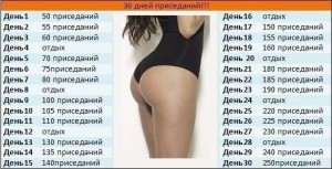 popa23-300x153.jpg