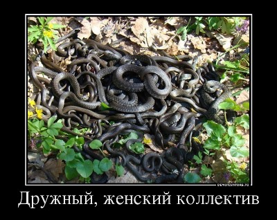 46118264_druzhnyij-zhenskij-kollektiv.jpg