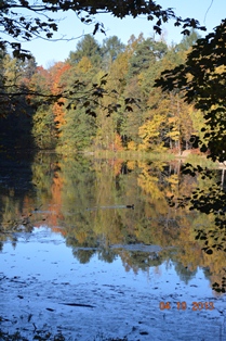 DSC_3001.JPG