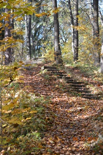 DSC_3310.JPG