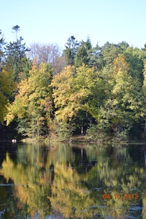 DSC_3331.JPG