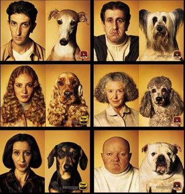 dogs.JPG